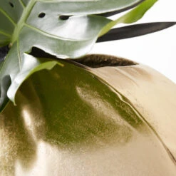 Greer Vase -Home Decor Store 120209073 4 54063.1690281649.386.513