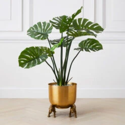 Nikki Chu - Jaguar Planter -Home Decor Store 122424803 71996.1690292789.386.513