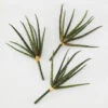 Faux Snake Grass Pick - Set Of 3 1 Faux Snake Grass Pick - Set Of 3 -Home Decor Store 209204912 1 88389.1690278983.386.513