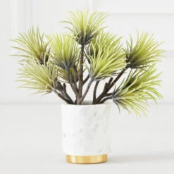 Faux Aeonium Succulent Pick - Set Of 3 -Home Decor Store 209207468 91232.1690278981.386.513