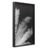 Tropical Palm Duo -Home Decor Store 725117530 1 45409.1690292284.386.513