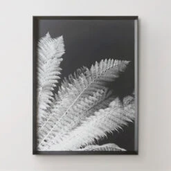 Tropical Palm Duo -Home Decor Store 725117530 56886.1690292284.386.513