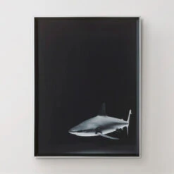 Silence In The Deep -Home Decor Store 725159654 37014.1690292287.386.513