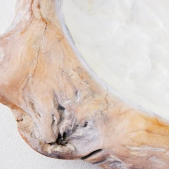 Organic Capiz Bowl 14 Organic Capiz Bowl -Home Decor Store webimage 160611797 DTL