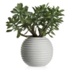 Faux Sedum Succulent Pick - Set Of 3
