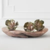 Faux Echeveria Succulent Pick 2 Faux Echeveria Succulent Pick -Home Decor Store webimage 209200688