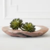 Faux Thorn Succulent Pick -Home Decor Store webimage 209207824