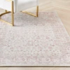 Sayer Rug - Blush -Home Decor Store webimage 620839274
