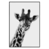 Exotic Animals 4 -Home Decor Store webimage 630101052 jpg