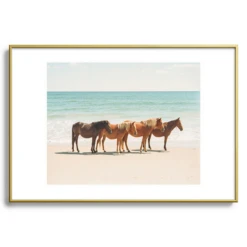 Summer Beach Horses -Home Decor Store webimage 630336232 SIL