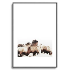 Wild And Free -Home Decor Store webimage 630340428 SIL