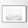 Seagulls Coast -Home Decor Store webimage 630342225