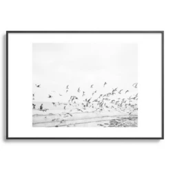 Seagulls Coast -Home Decor Store webimage 630342225 SIL