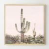 Pastel Pink Cactus -Home Decor Store webimage 630620454 2