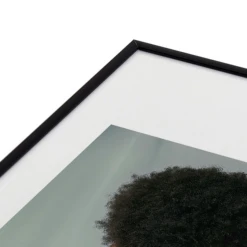 Venus 2 9 Venus 2 -Home Decor Store webimage 630727209 DTL2