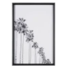 Sunset Palms 2 -Home Decor Store webimage 725154241a jpg